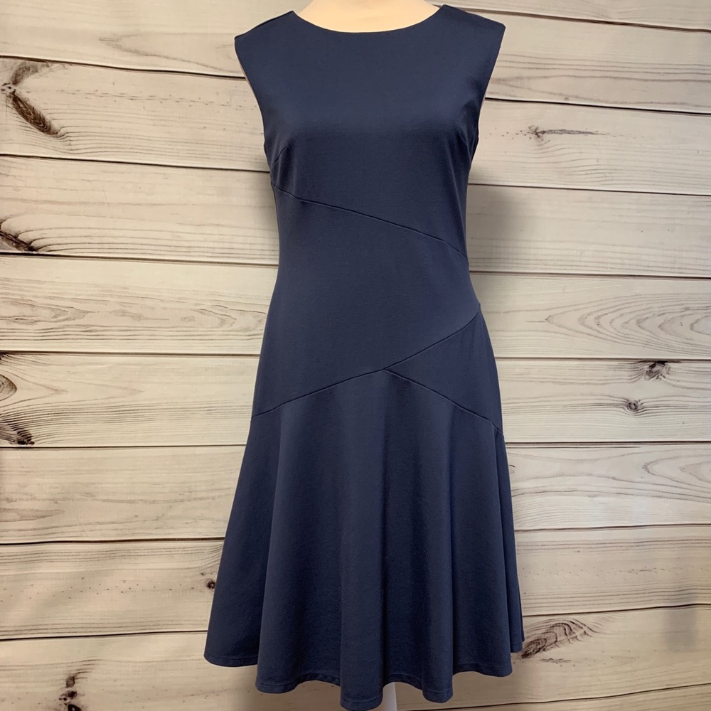 Anne Taylor Flounce Dress